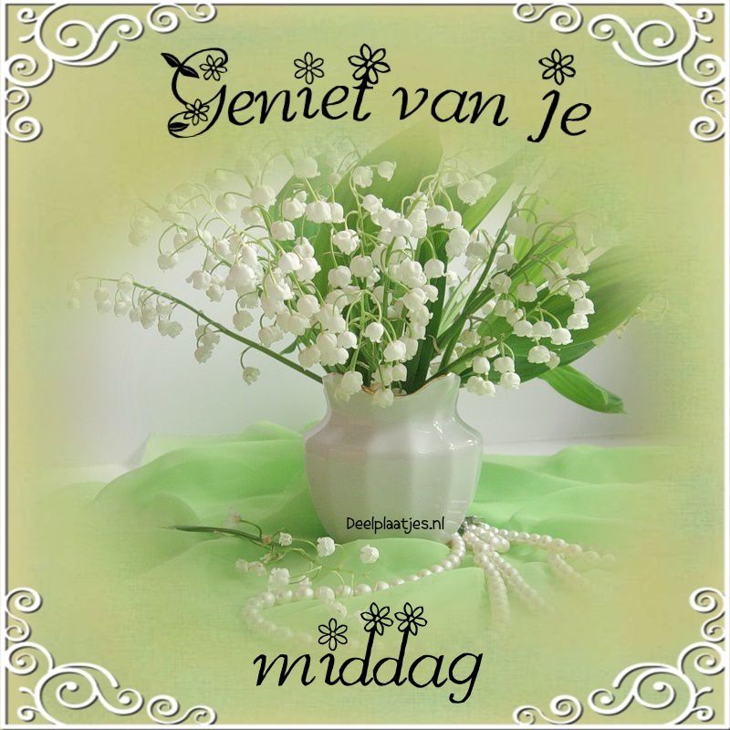 Fijne middag 5