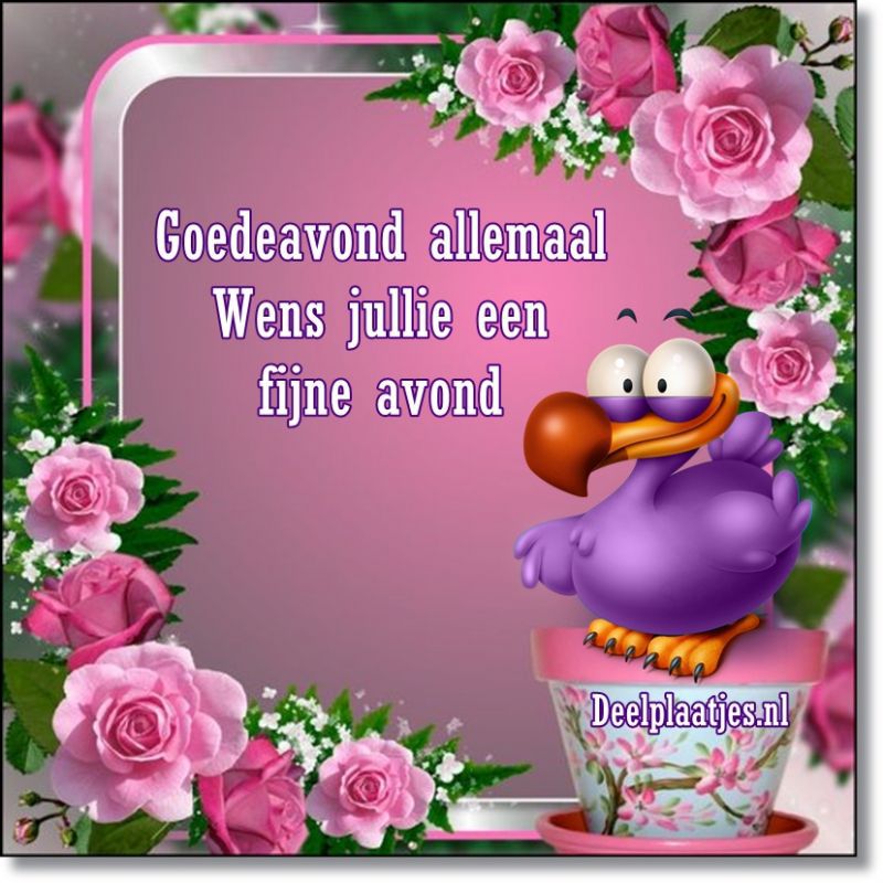 Goede avond.