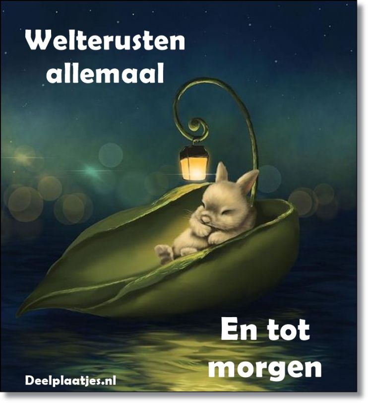 Welterusten 25