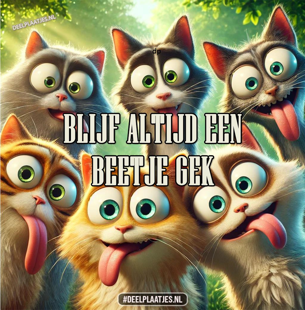 Funny cats remind you to stay playful