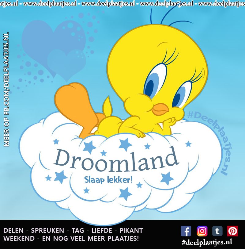 Droomland