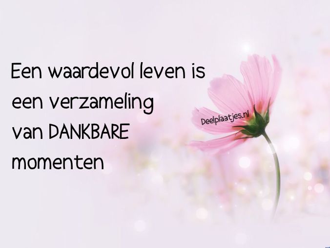 Een waardevol leven is een verzameling van dankbare momenten