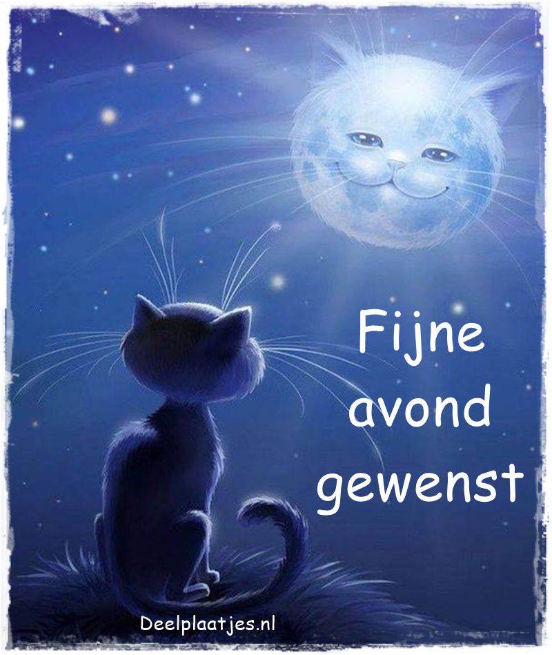Fijne avond gewenst ontspan en geniet van je tijd