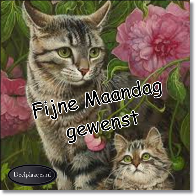Fijne maandag gewenst