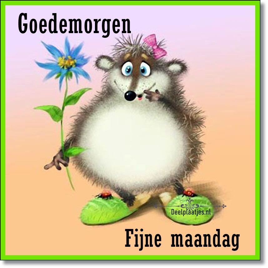 Fijne maandag begin de week met een glimlach