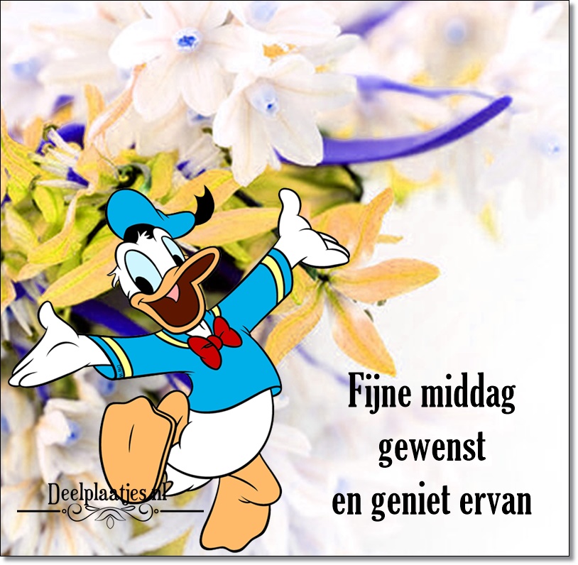 Fijne middag weer