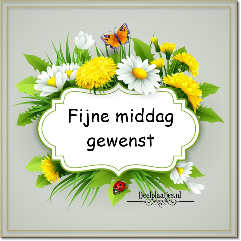 Fijne middag wenst