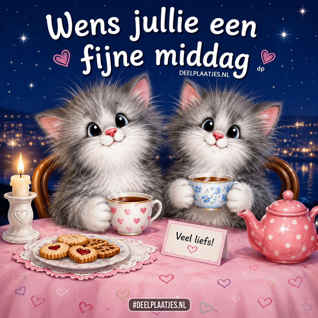 Fijne middag
