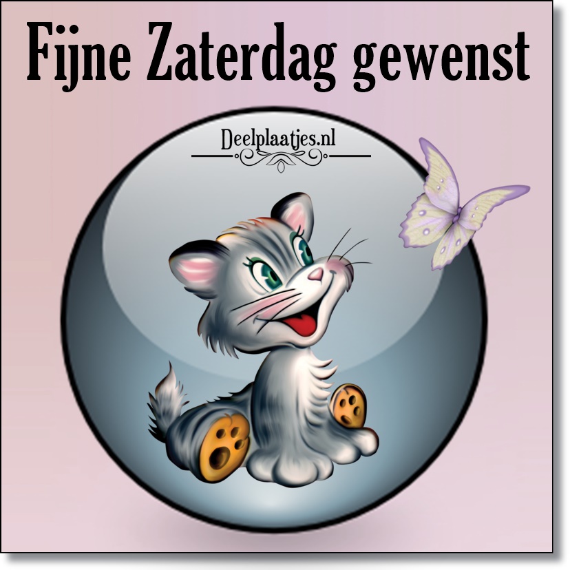 Fijne zaterdag weer