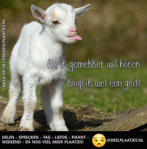 Gemekker koop een geit