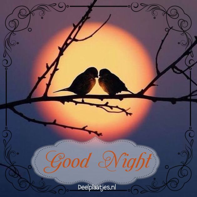 Good night