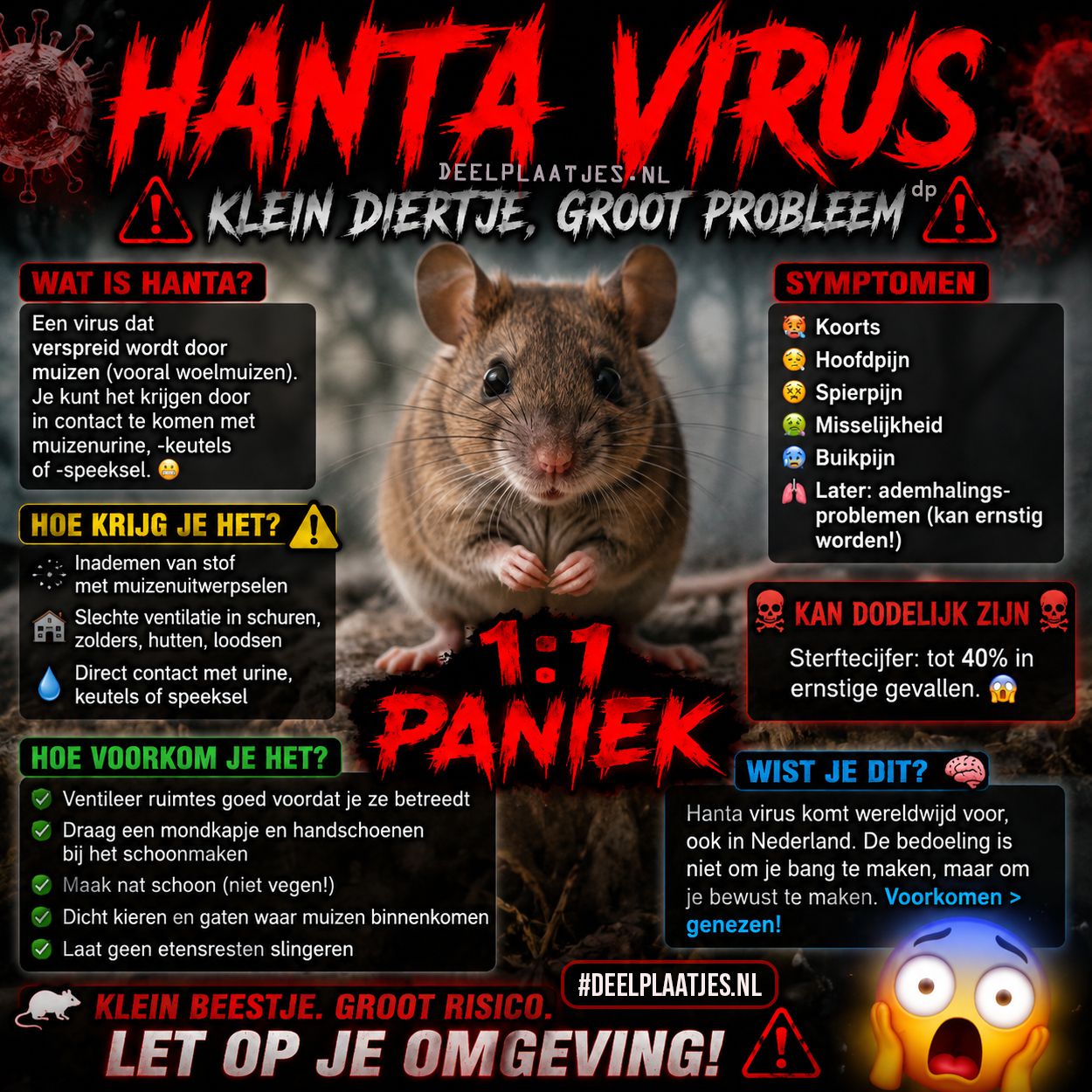 Hanta virus uitleg en symptomen bij muizen