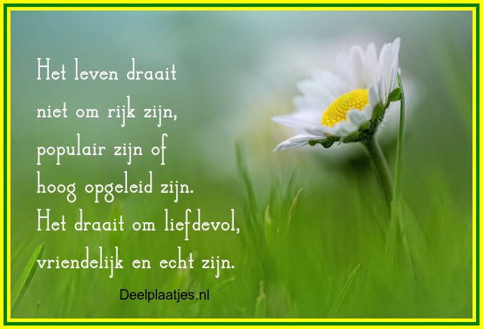 Het leven draait niet om rijkdom