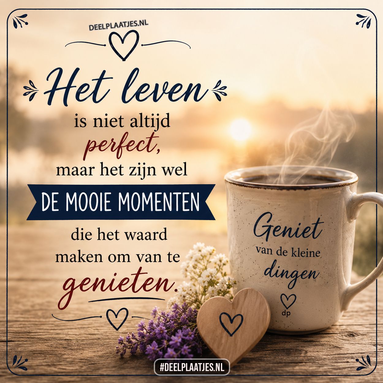 Het leven is niet altijd perfect maar geniet ervan spreuk plaatje