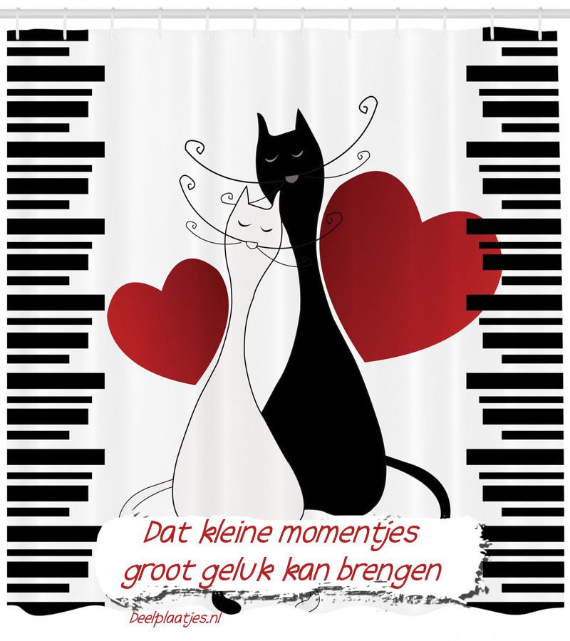 Kleine momentjes groot geluk