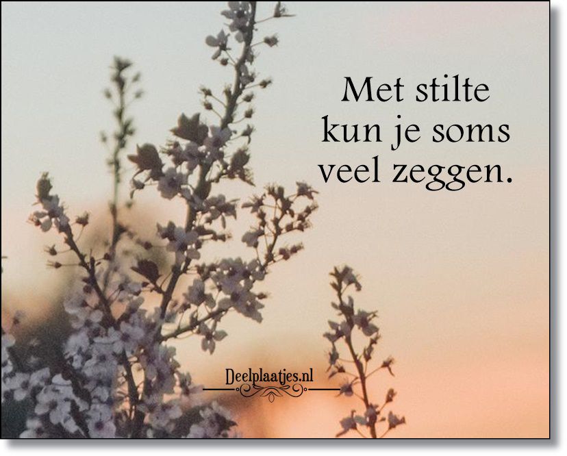 Met stilte