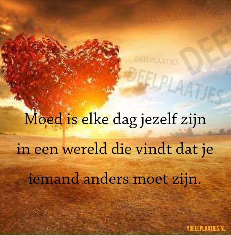 Moed is..