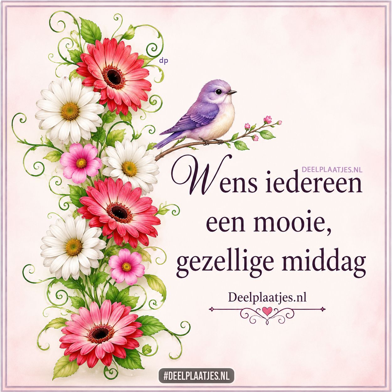Wens iedereen een mooie gezellige middag