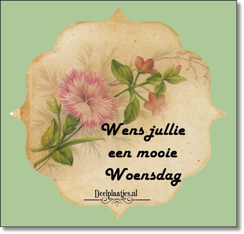 Mooie woensdag 2