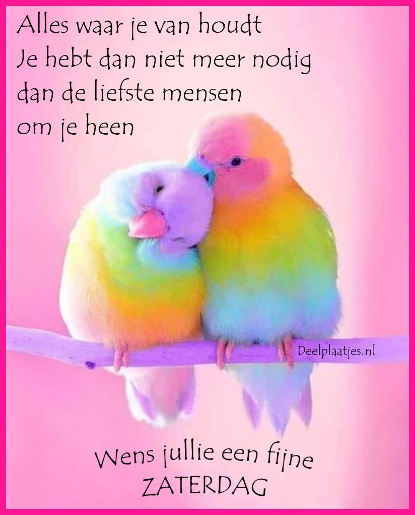 Niet meer nodig dan de liefste mensen om je heen