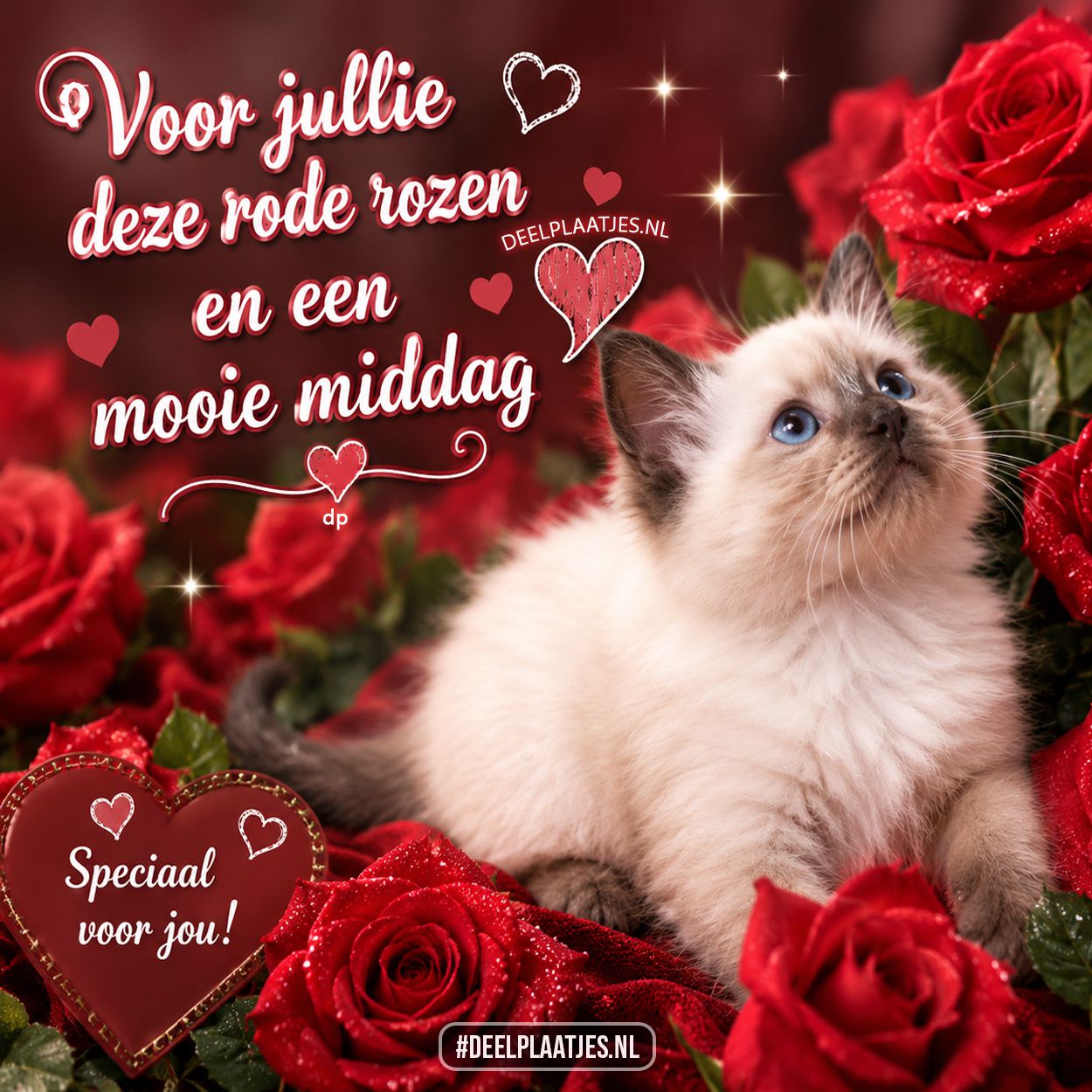 Rode rozen middag