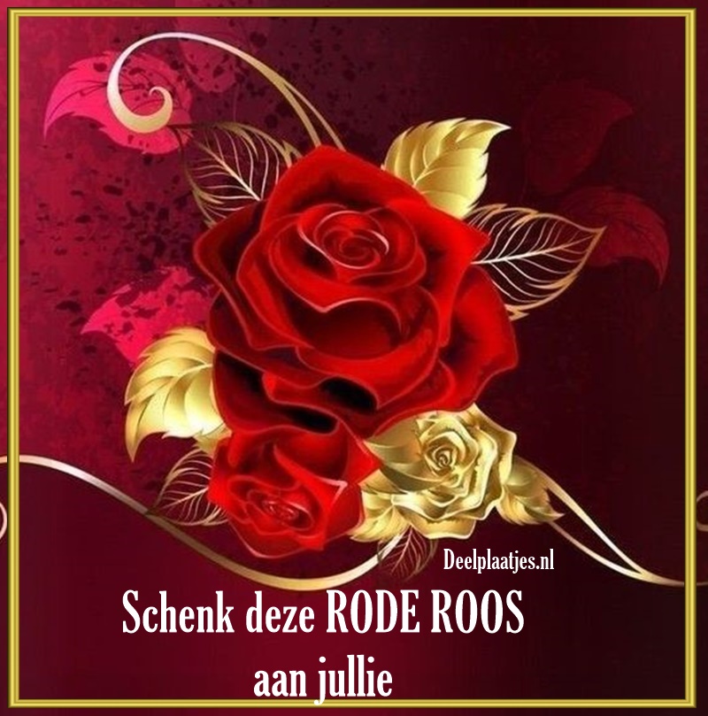 Schenk deze rode roos aan jullie