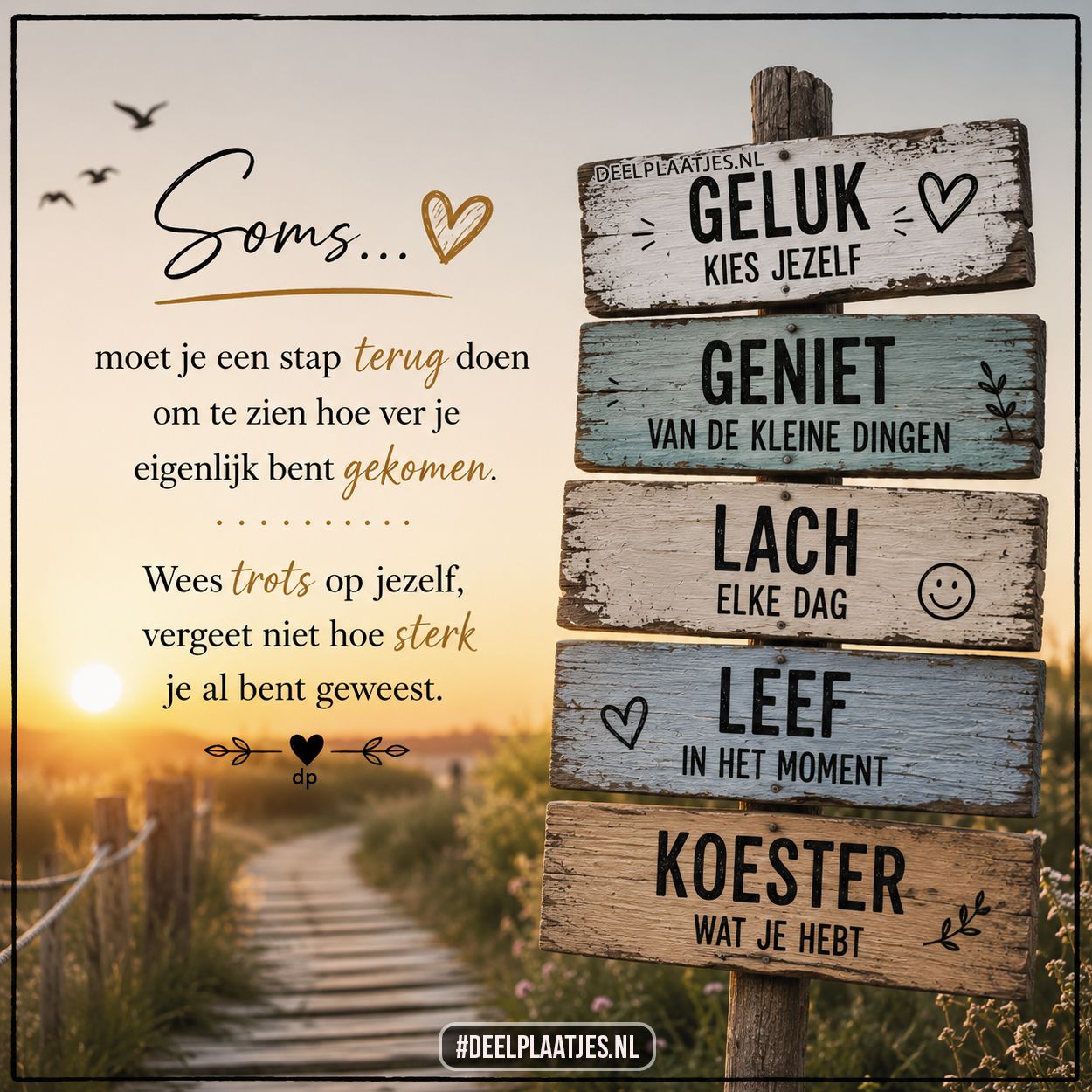 Soms moet je een stap terug doen om te zien hoe ver je bent gekomen