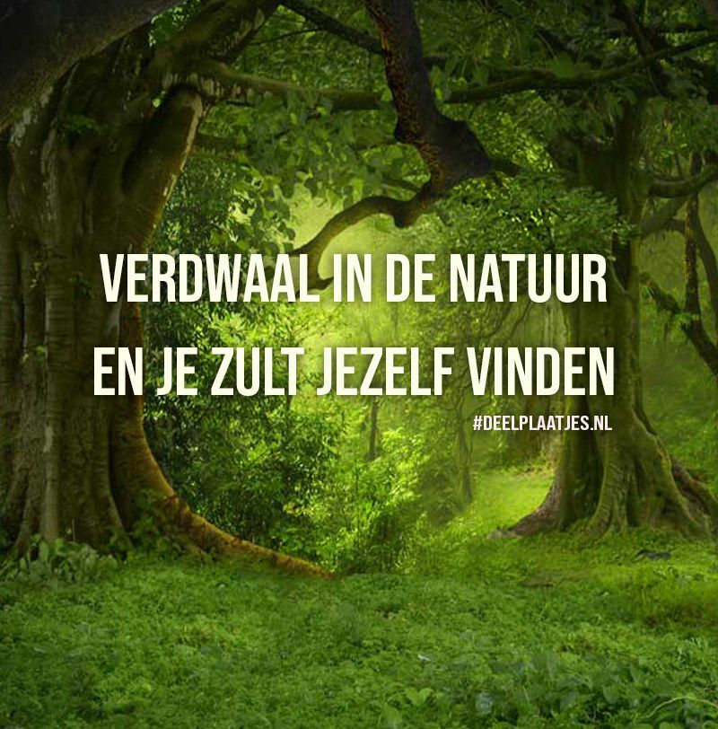 Verdwaal in de natuur