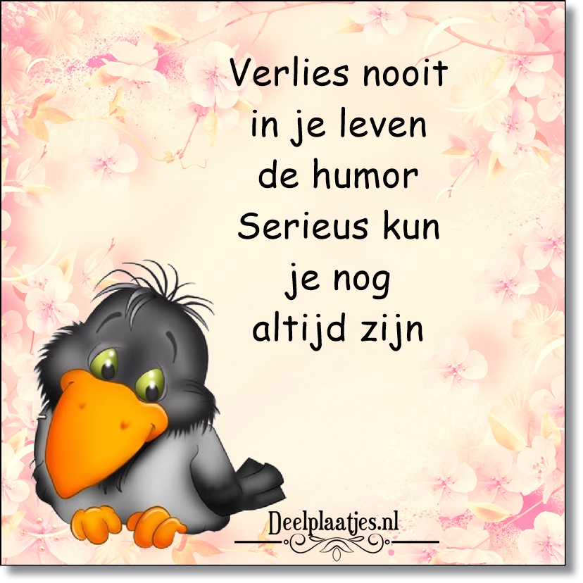 Verlies je humor nooit