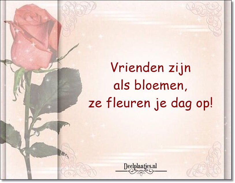 Vrienden zijn als bloemen