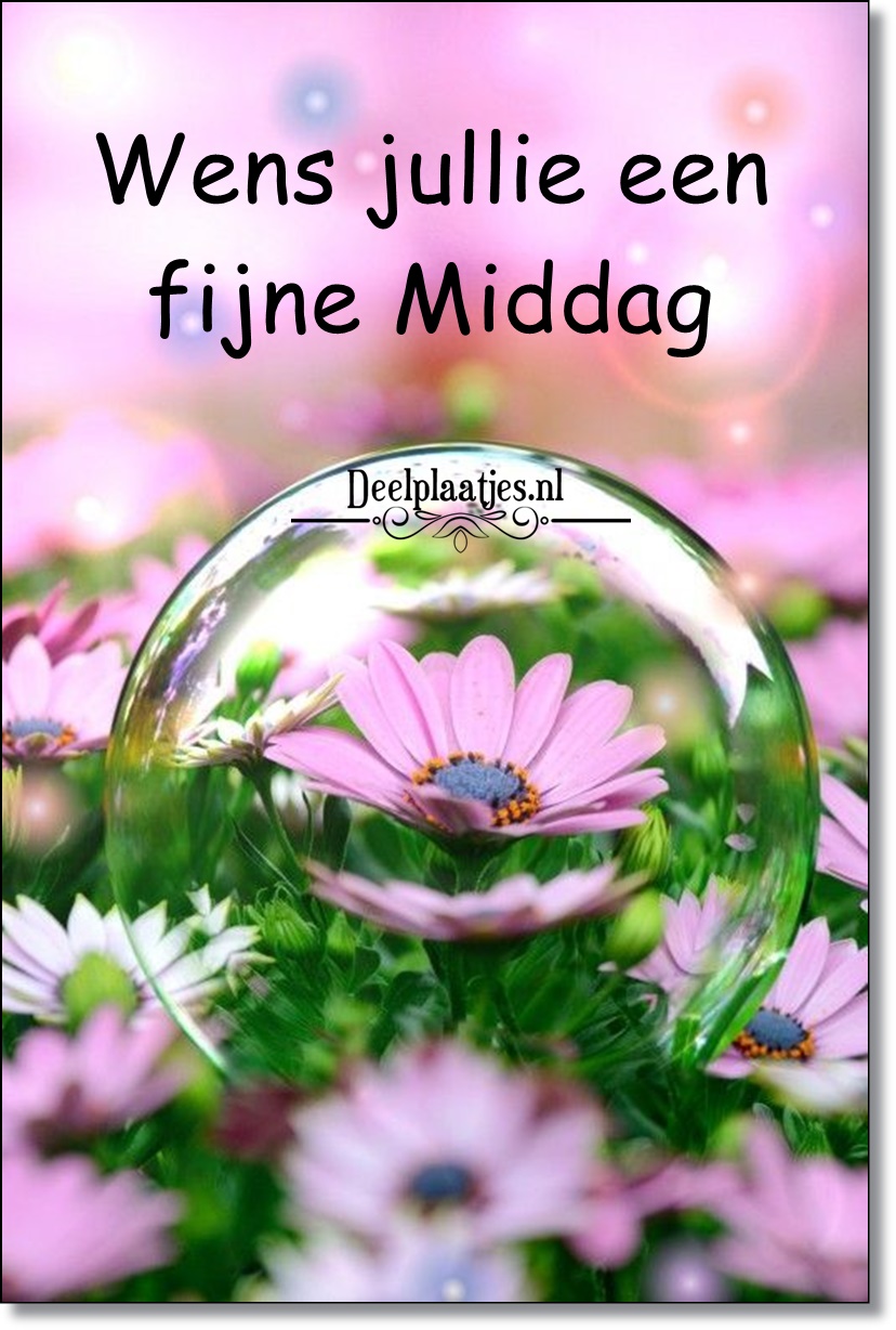 Wens jullie een fijne middag 1