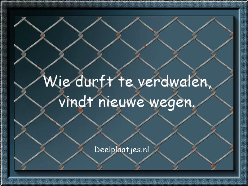 Wie durft te verdwalen