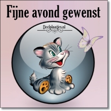 fijne avond 71
