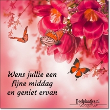 fijne middag 36