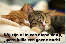 goede nacht 2