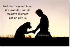 hart