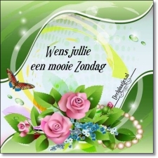 zondag 15