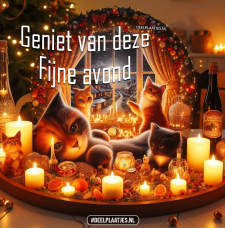 Geniet van de avond