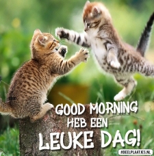 heb een leuke dag
