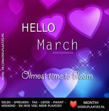 hello march