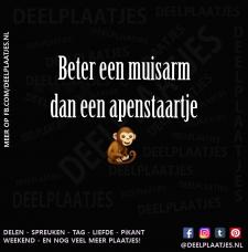 muisarm en apenstaartje