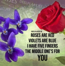 roses are red