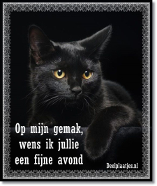 Zwarte poes