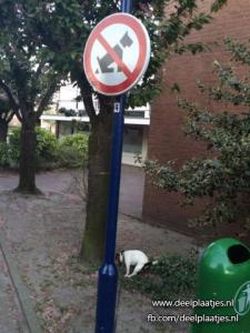 hond heeft er schijt aan