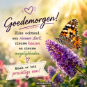 Goedemorgen afbeelding   nieuwe start vol kansen