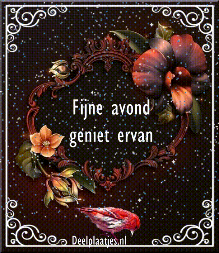 Fijne avond gewenst een rustige gezellige avond voor jou