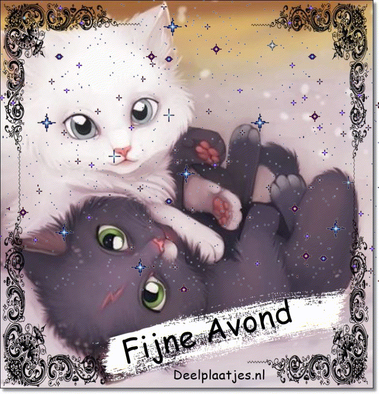 Fijne avond — ontspan en geniet