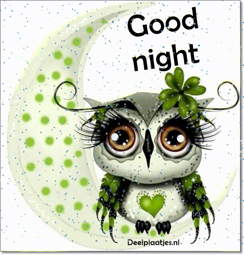 Good night — uiltje