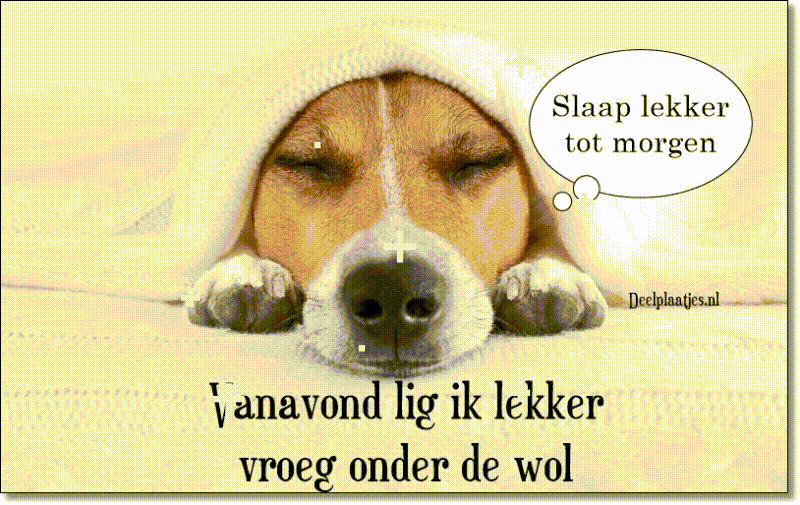 Lekker vroeg onder de wol