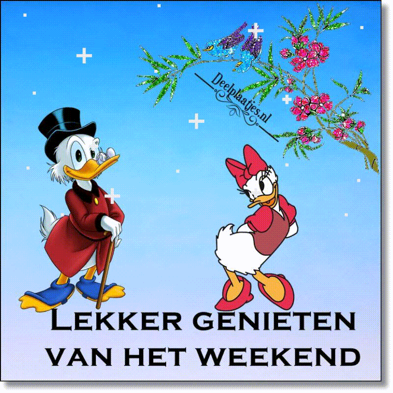 Weekend 13